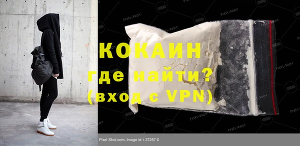 индика Арсеньев
