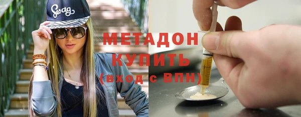 индика Арсеньев