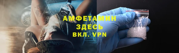 индика Арсеньев