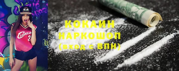 индика Арсеньев