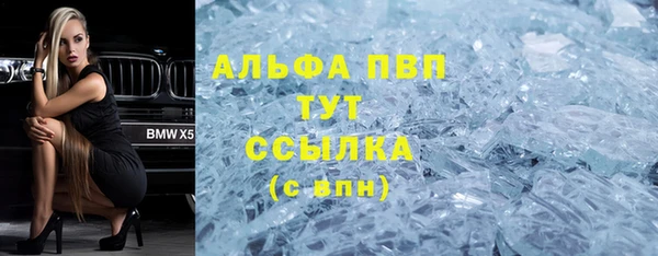 индика Арсеньев