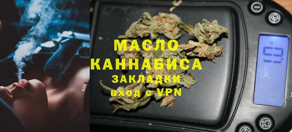 индика Арсеньев