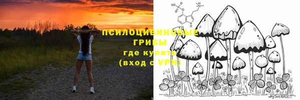 индика Арсеньев