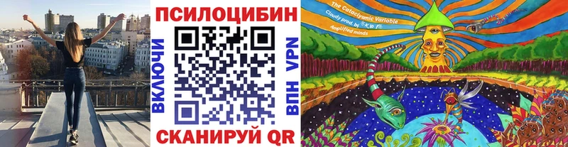 Псилоцибиновые грибы Cubensis Феодосия